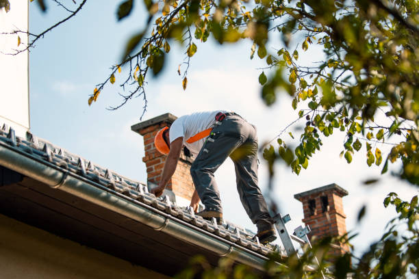 Best Roof Maintenance Services  in Watts Mills, SC